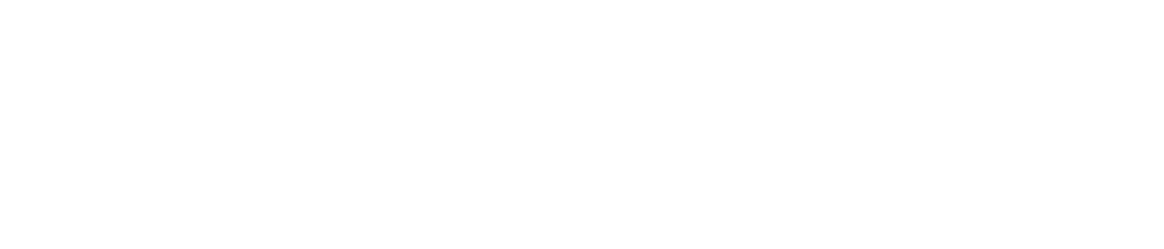 Wice CRM